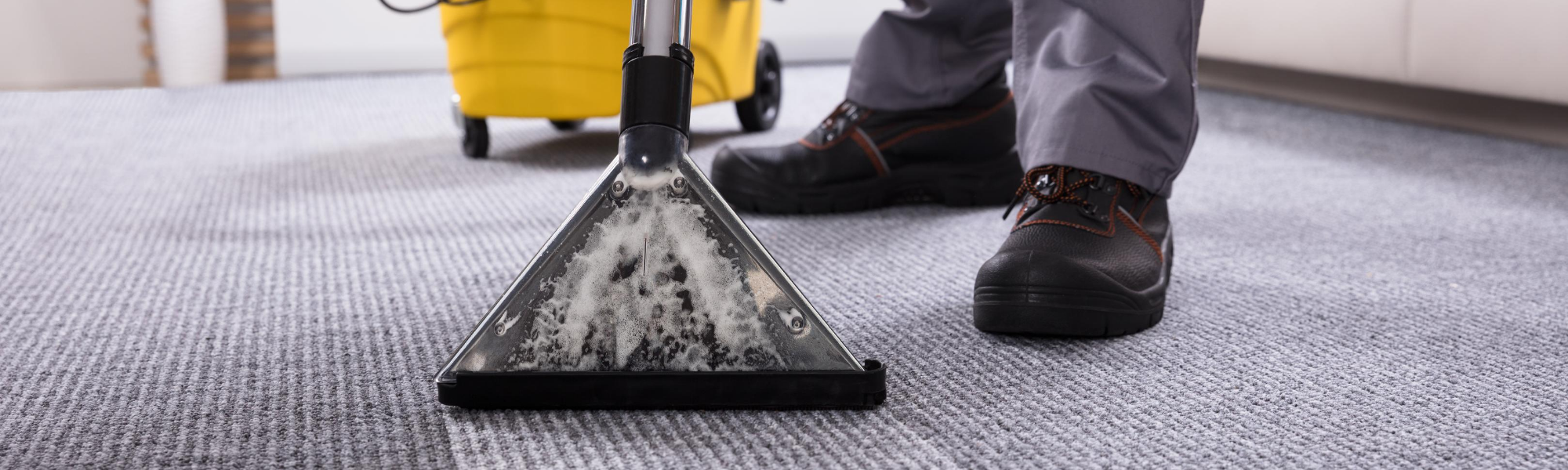 carpet cleaning